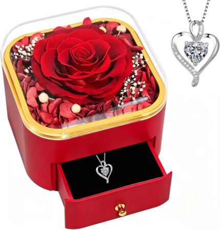 GIFTKING preserved real red rose in a clear dome, set in a red gift box with a pull-out drawer revealing a silver heart neckl